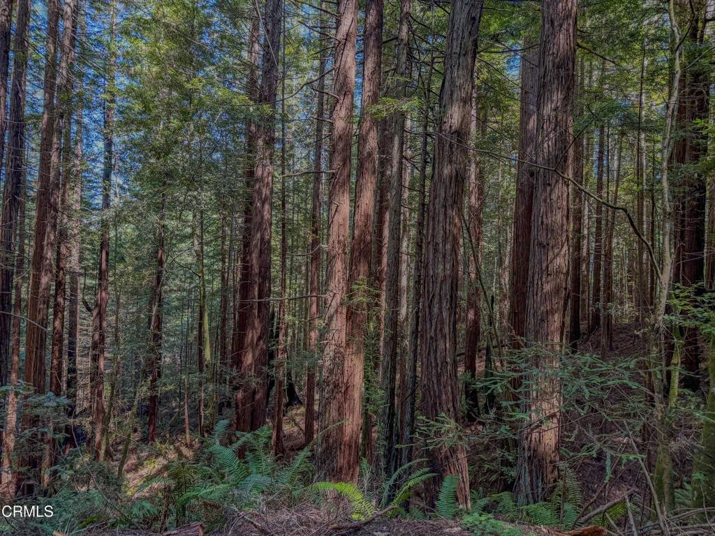0 California 20
