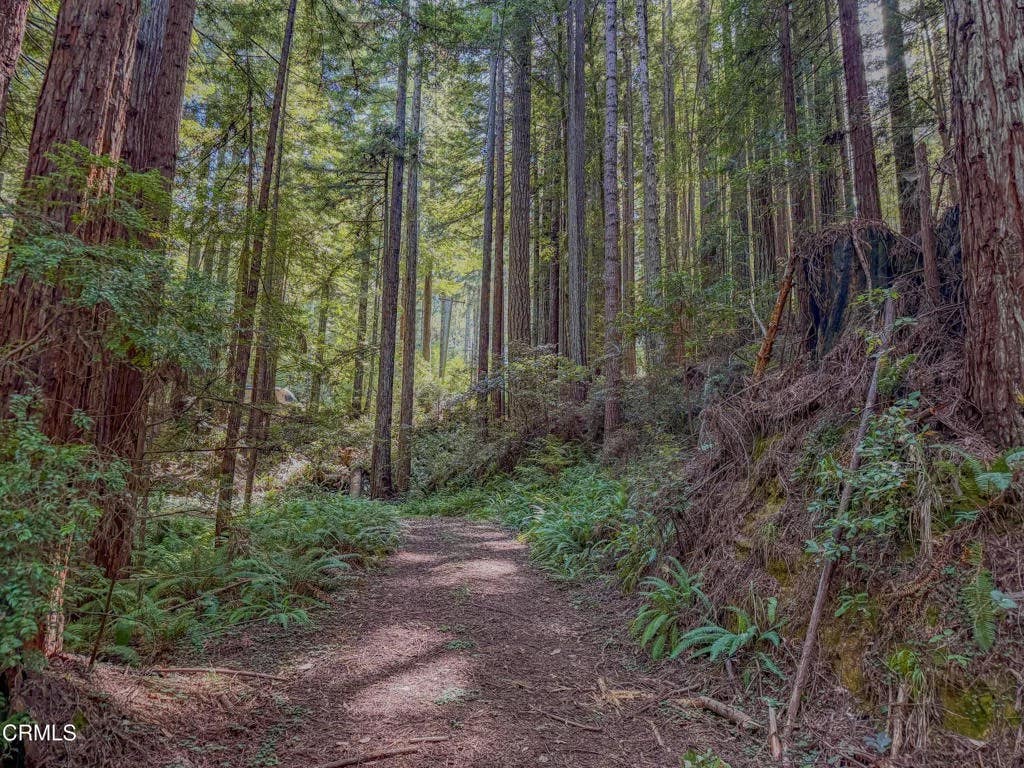 Photo of 27750 California 20, Fort Bragg, CA 95437 (MLS # C1-11505)