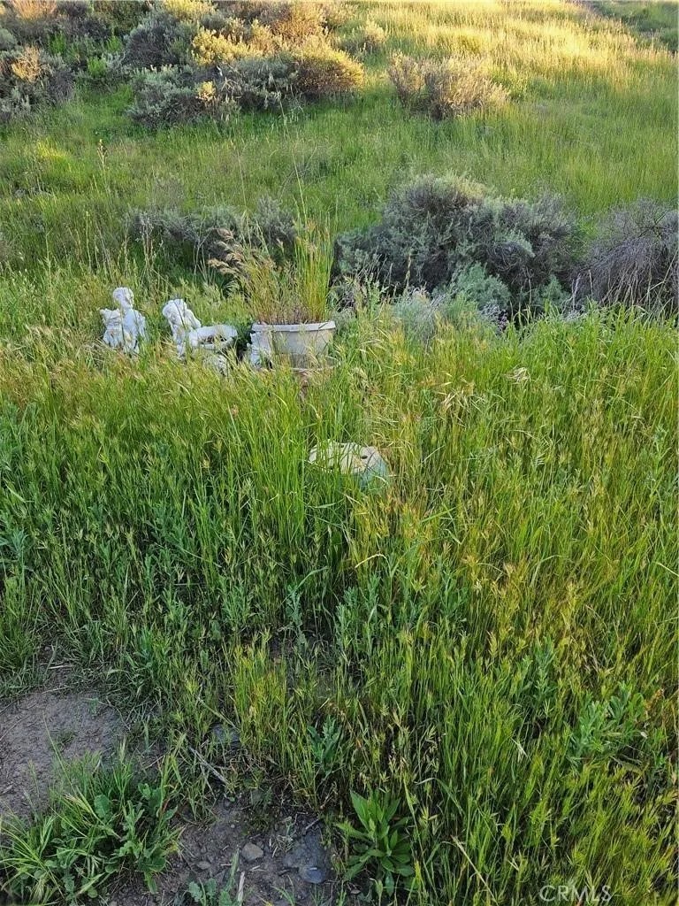 27375 Sycamore Mesa