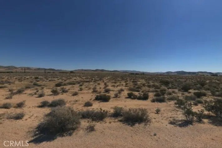 35337 Raigosa