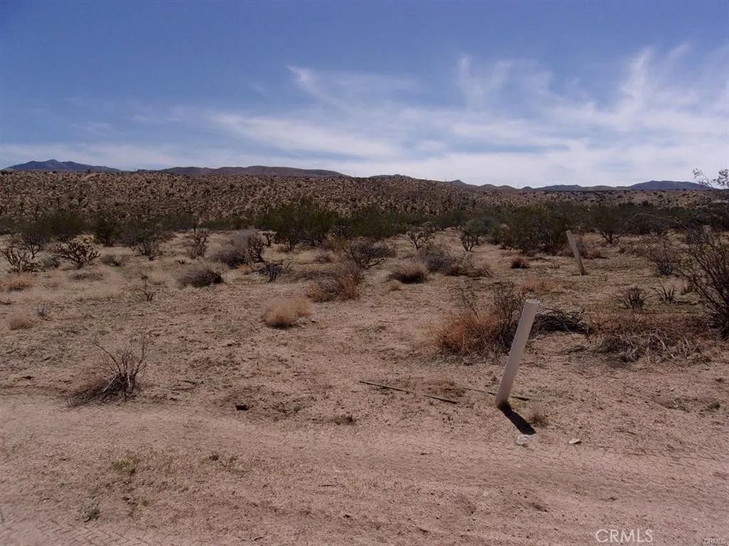 0 Ocotillo