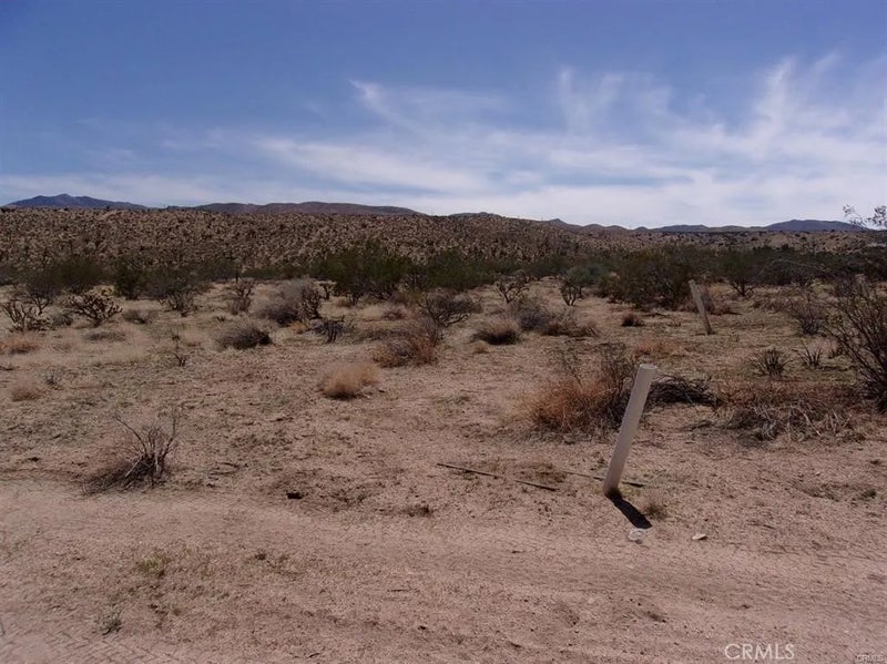 0 Ocotillo