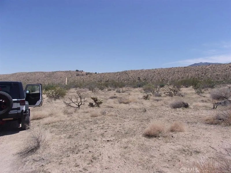 0 Ocotillo