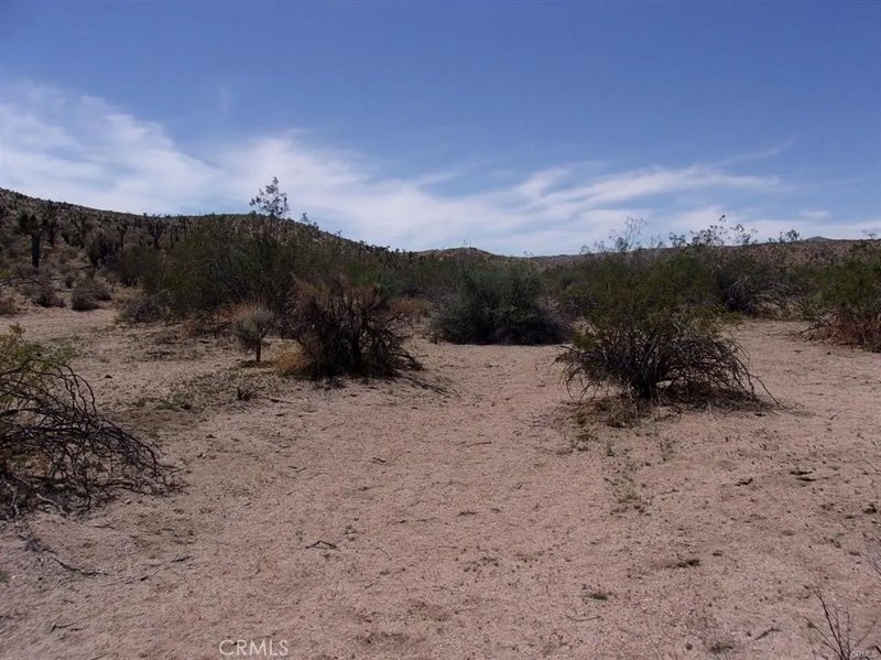 0 Ocotillo