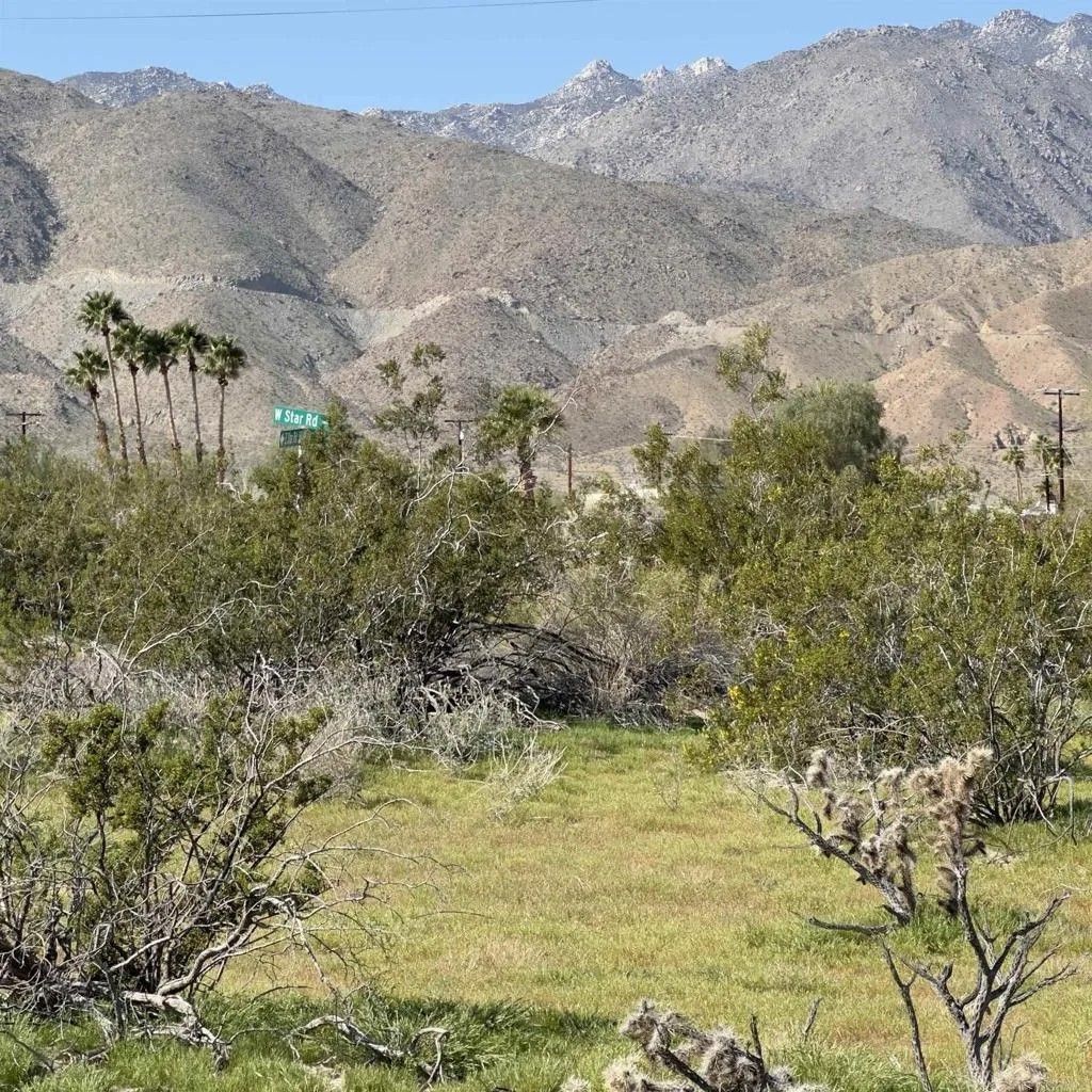 Photo of Star, Borrego Springs, CA 92004 (MLS # NDP2601258)
