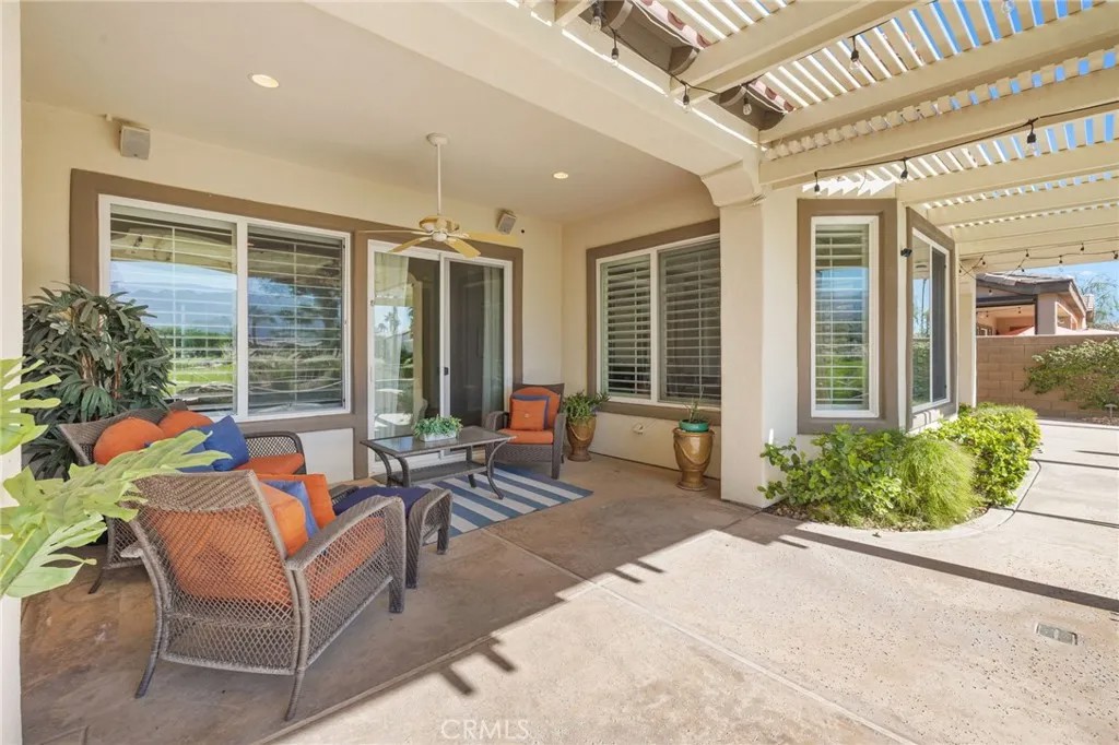 81687 Desert Willow