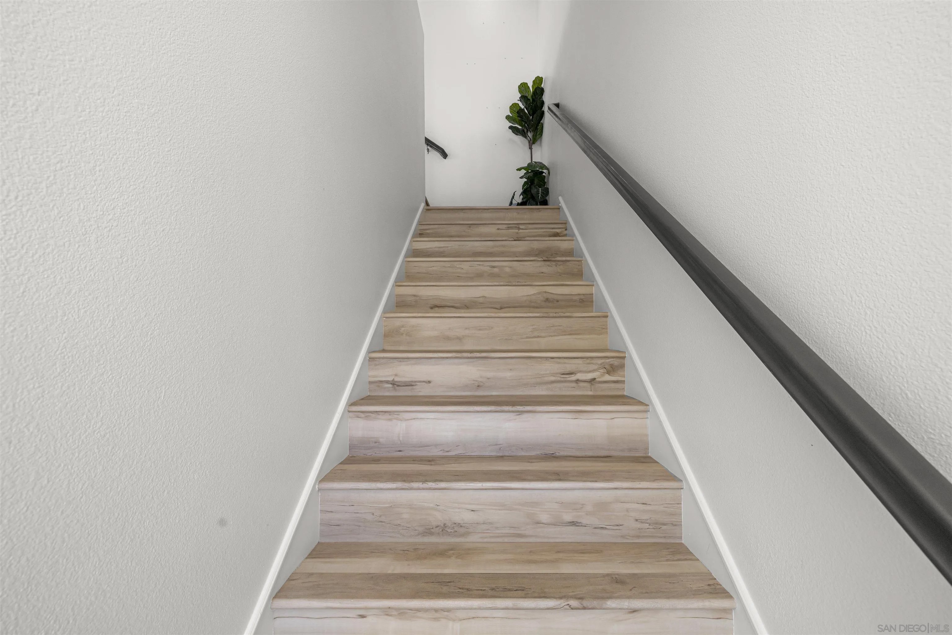 1800 E Lakeshore 1212