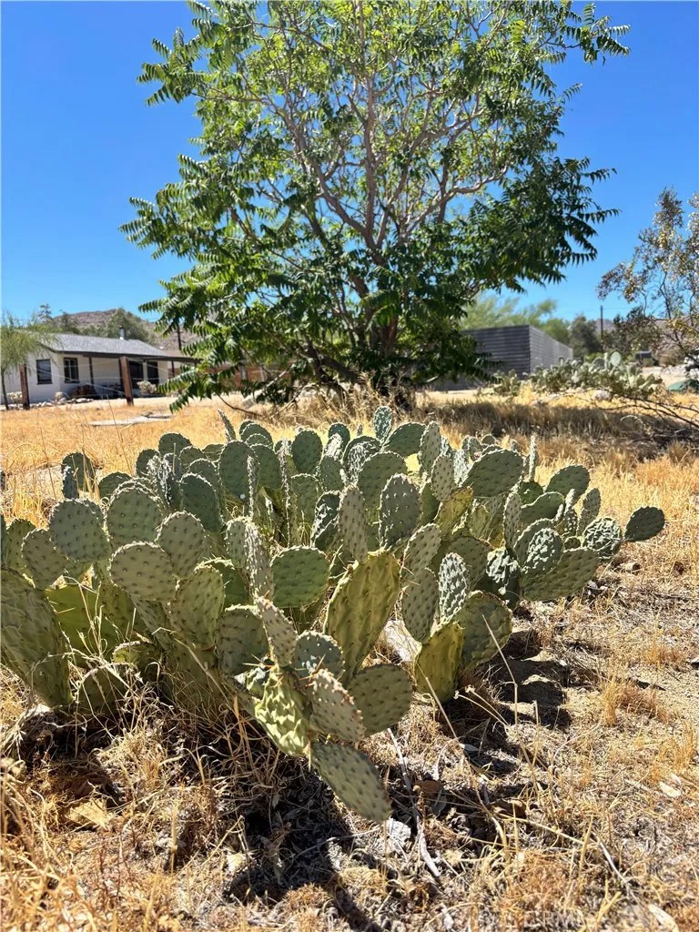62027 Valley View