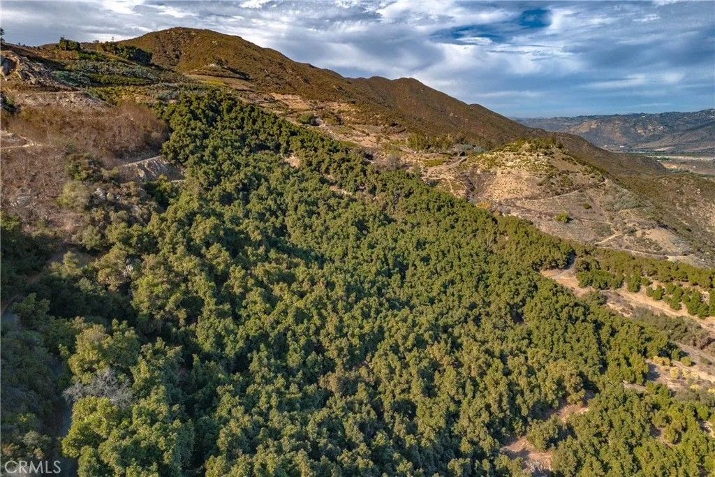 Photo of 49 Maridge, Valley Center, CA 92082 (MLS # SW25003204)