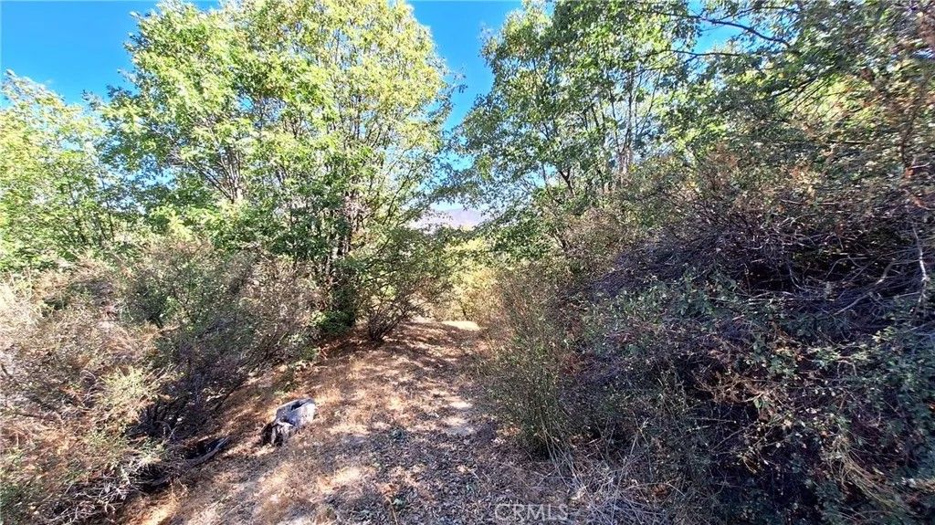 Photo of 0 Coulter, Cedar Glen, CA 92321 (MLS # IV26022342)