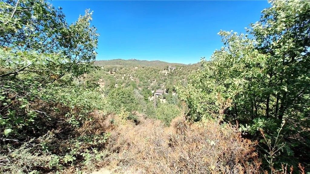 Photo of 0 Coulter, Cedar Glen, CA 92321 (MLS # IV26022342)