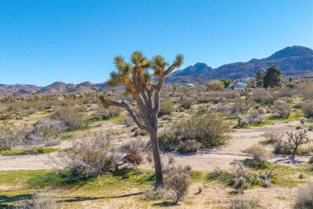 Photo of 61851 Skyline Dr, Joshua Tree, CA 92252 (MLS # JT26021325)