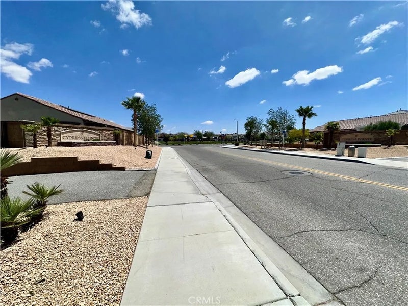 16807 Desert Lily