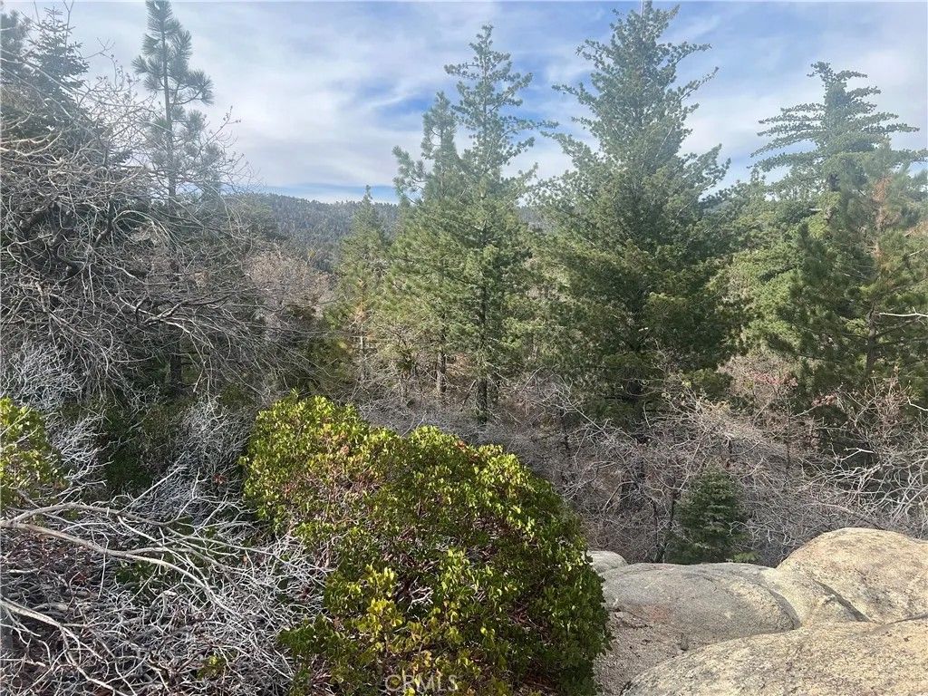 Photo of 0 Hardy, Arrowbear, CA 92382 (MLS # OC26070476)