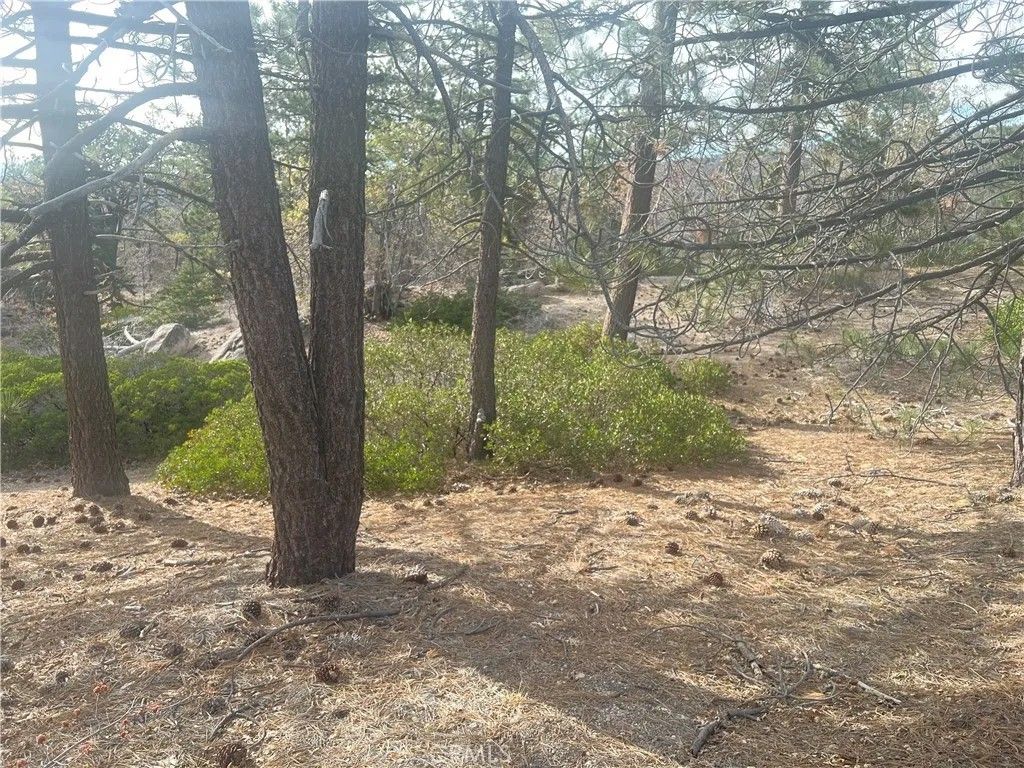 Photo of 0 Hardy, Arrowbear, CA 92382 (MLS # OC26070476)