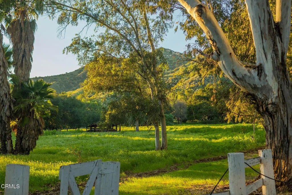 Photo of 1519 Ayers Avenue, Ojai, CA 93023 (MLS # V1-34887)