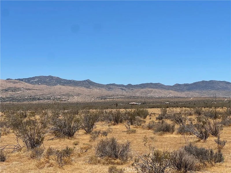1 Del Oro