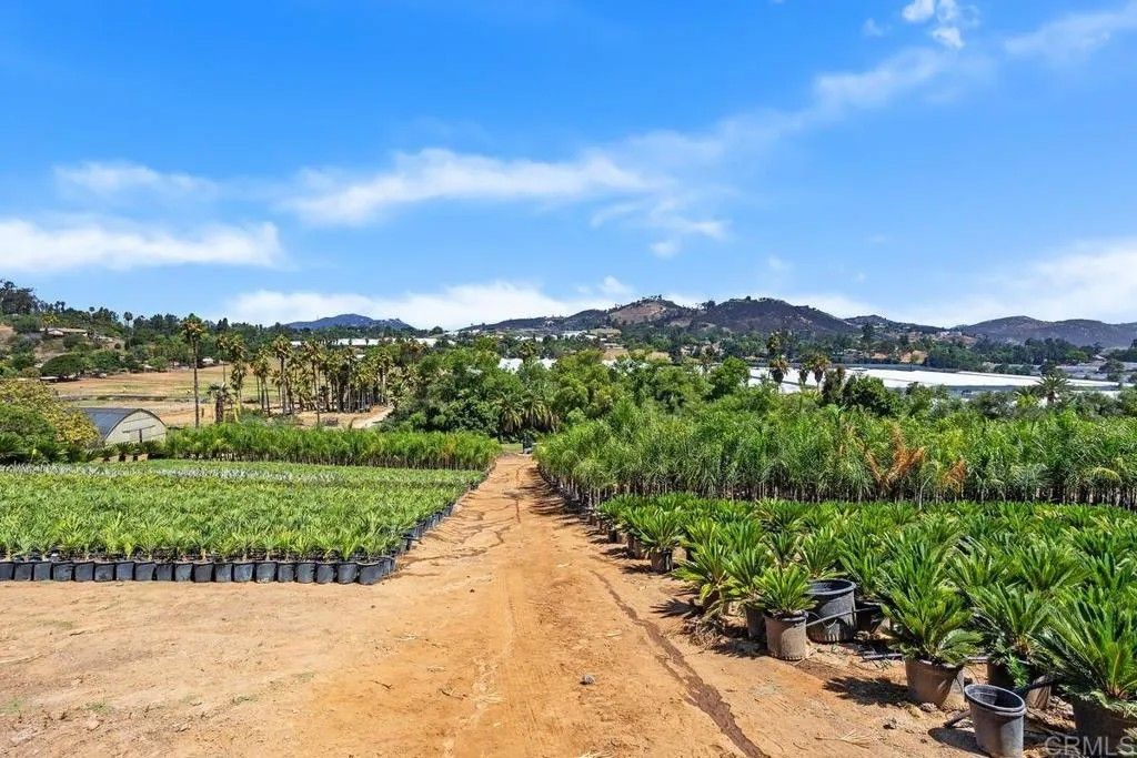 Photo of Easy, San Marcos, CA 92069 (MLS # NDP2508054)