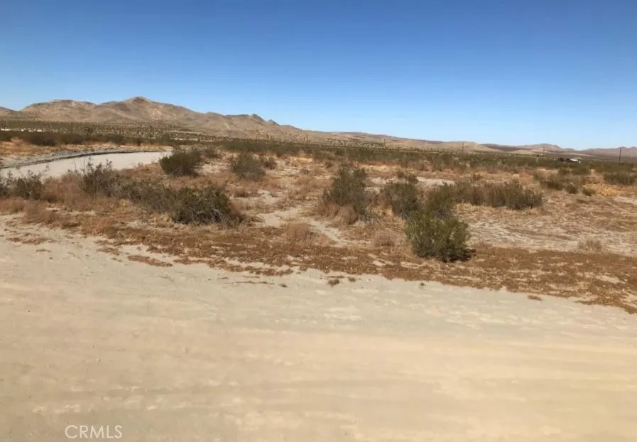 0 Sonora