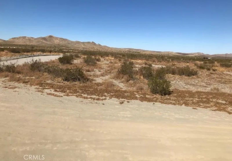 0 Sonora