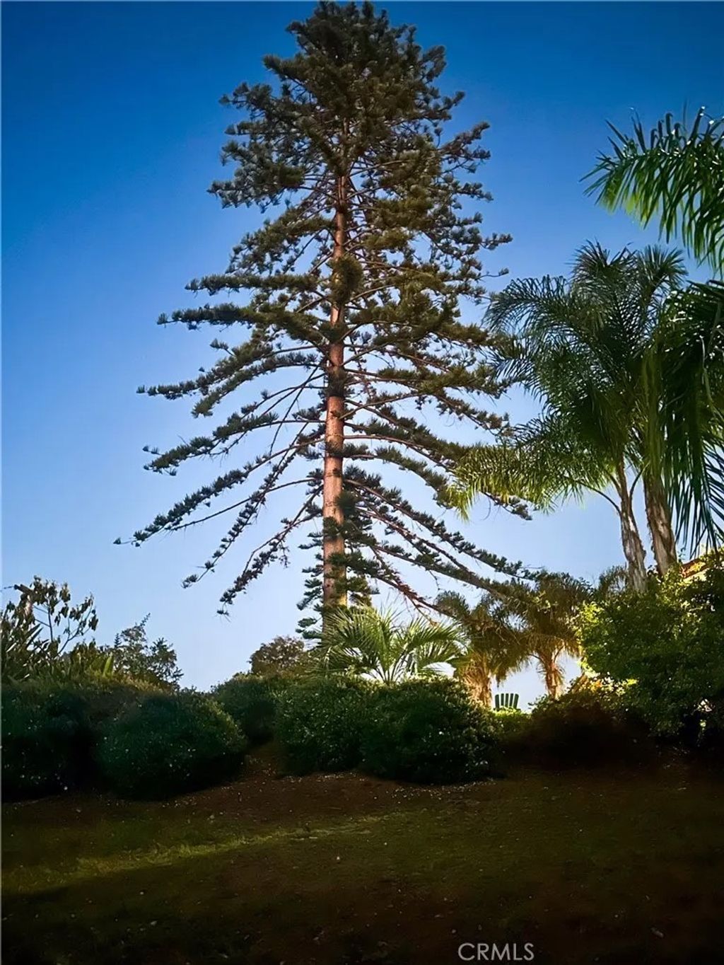Photo of 1955 Friendly Dr, Vista, CA 92084 (MLS # OC25242637)