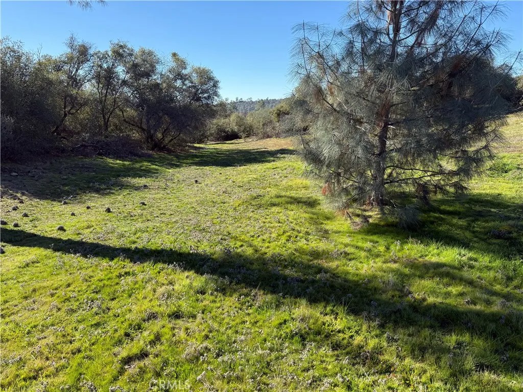 0 Flying O Ranch Rd.