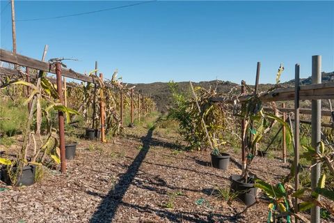 Tiny photo for 40390 Ross Road, Fallbrook, CA 92028 (MLS # SW25274653)