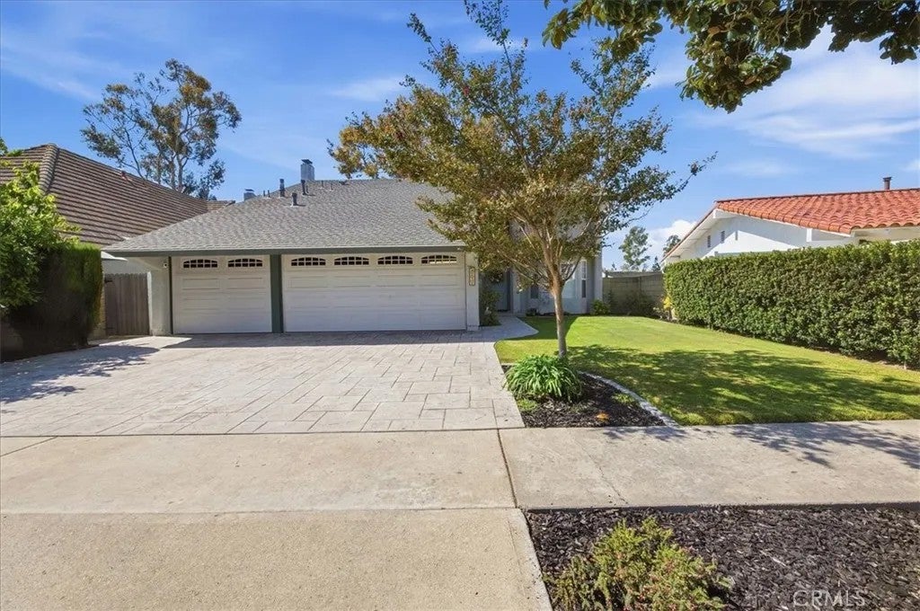 2232 Apple Tree