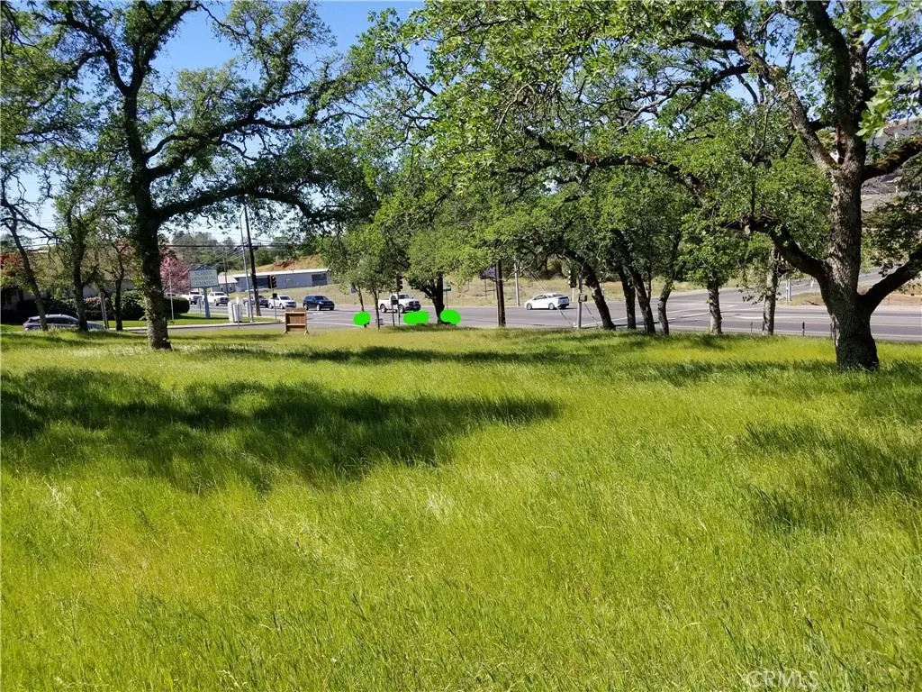 0 Olive Hwy
