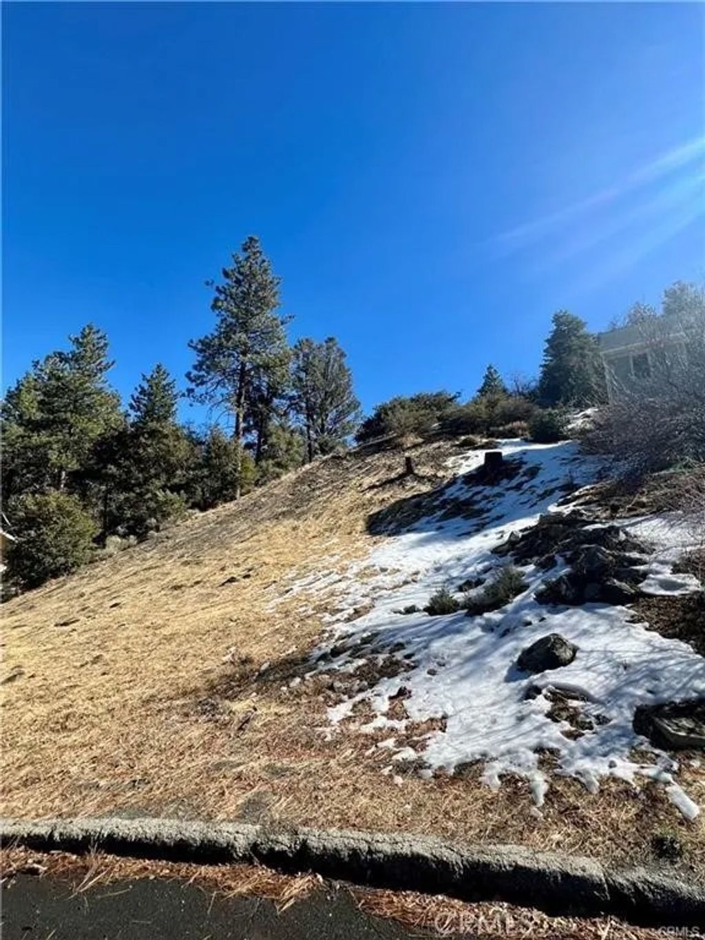 Photo of 5411 Shirley J Ln, Wrightwood, CA 92397 (MLS # IV26078561)