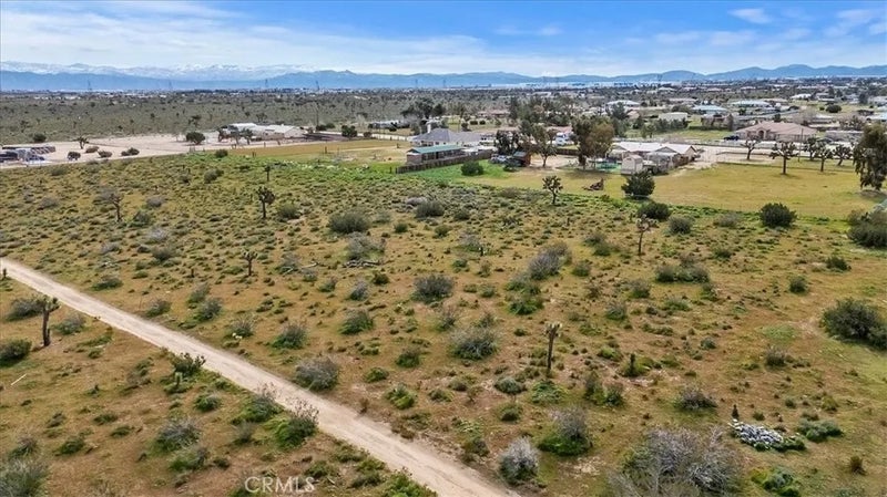 11161 Mesa
