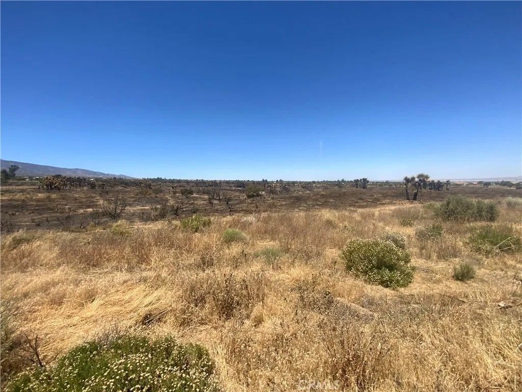 Photo of 0 Joshua Tree, Lucerne Valley, CA 92285 (MLS # IV26107536)