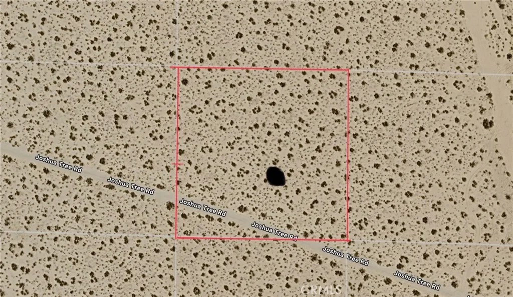 0 Joshua Tree