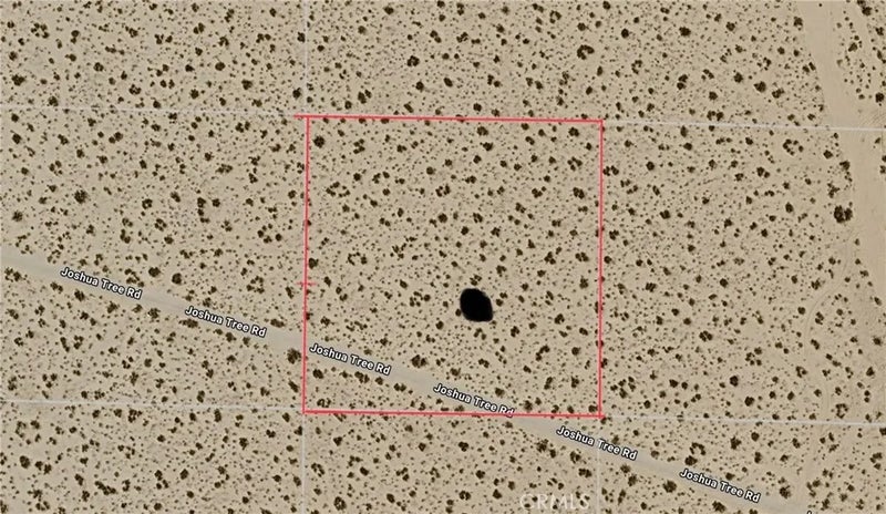 0 Joshua Tree