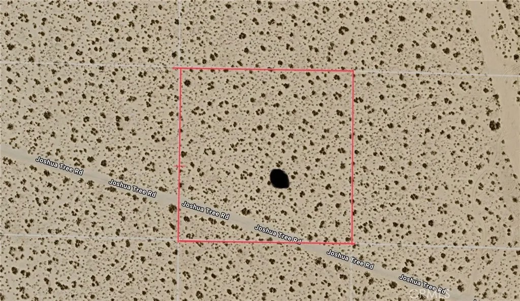 0 Joshua Tree