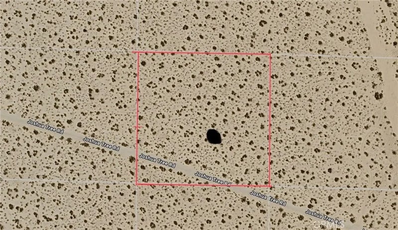 0 Joshua Tree