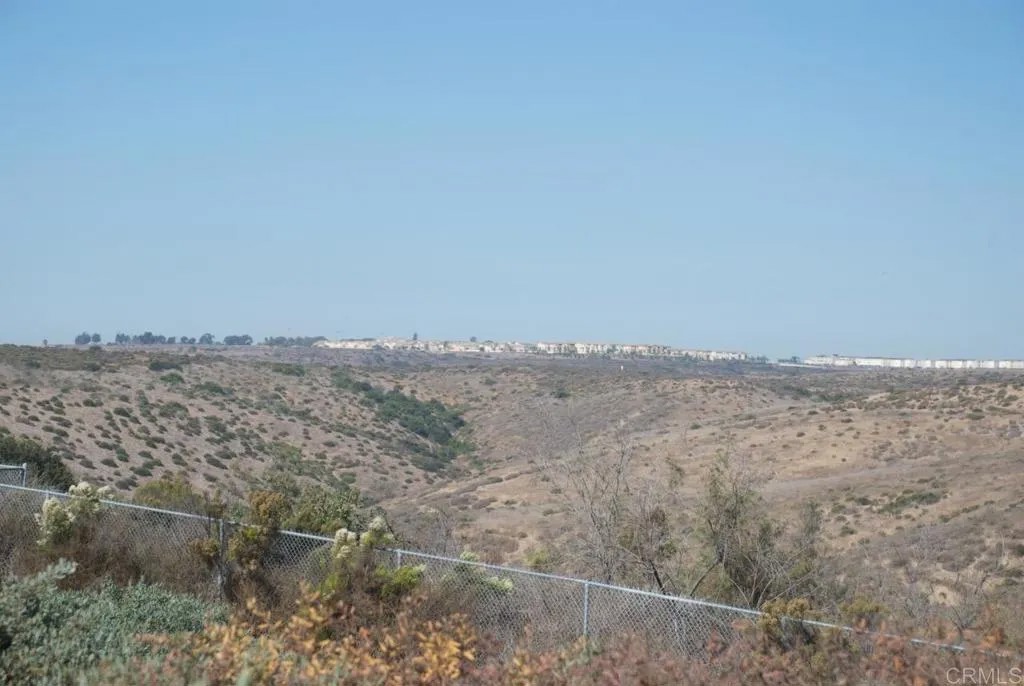 106 Cactus Siempre Viva