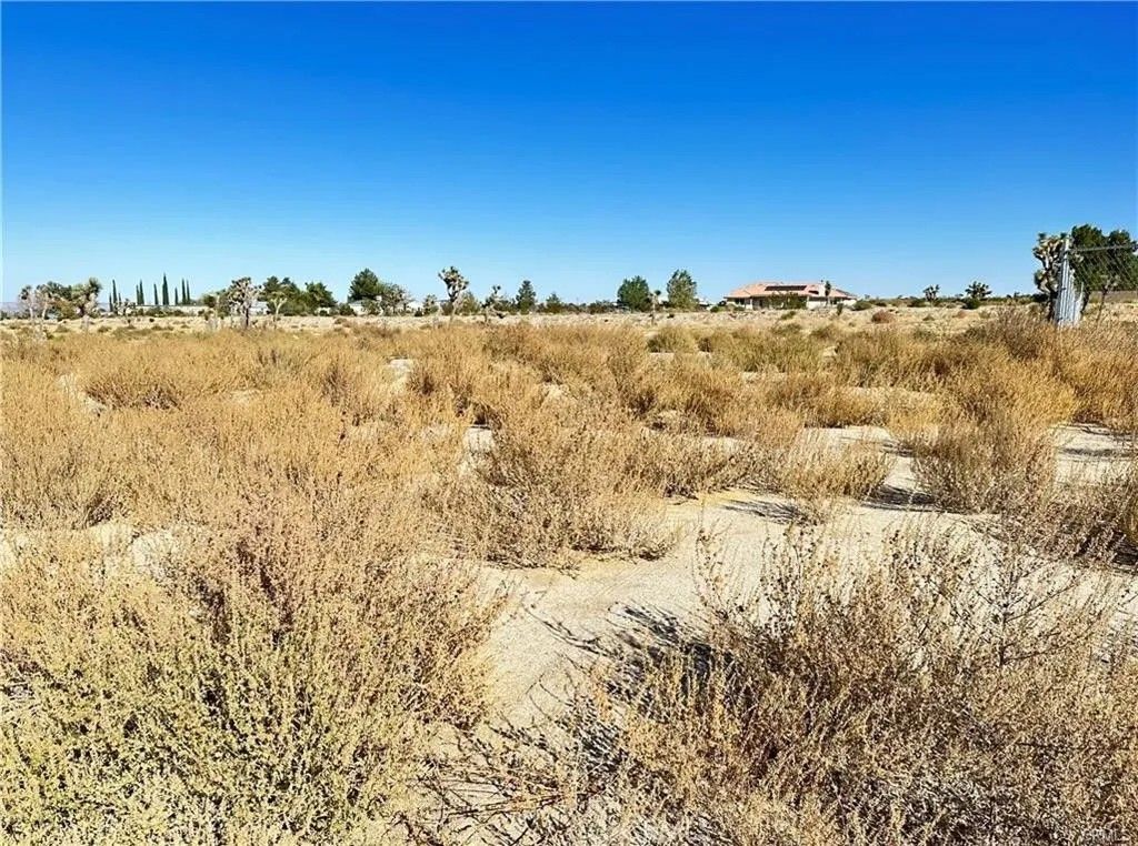 Photo of 12025 Primavera Rd, Pinon Hills, CA 92372 (MLS # CV26084589)