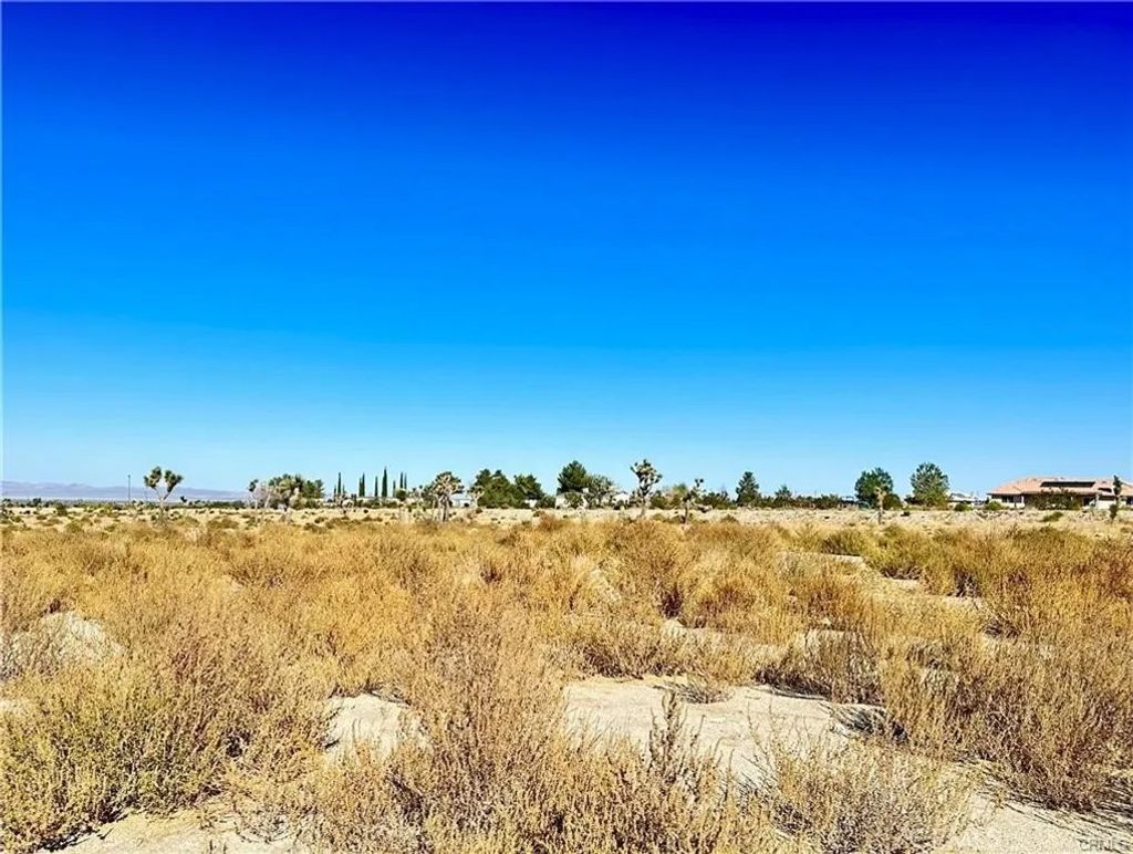Photo of 12025 Primavera Rd, Pinon Hills, CA 92372 (MLS # CV26084589)