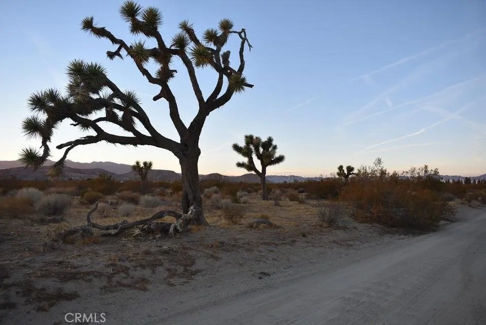 Photo of 6000 W Backus, Mojave, CA 93501 (MLS # SR26205492)