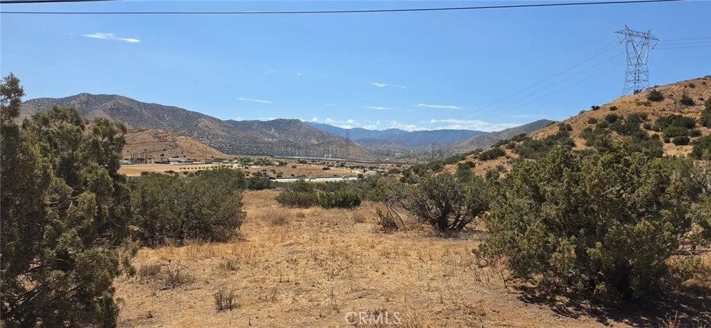 Photo of 0 Berncastle, Acton, CA 93510 (MLS # SR26195392)