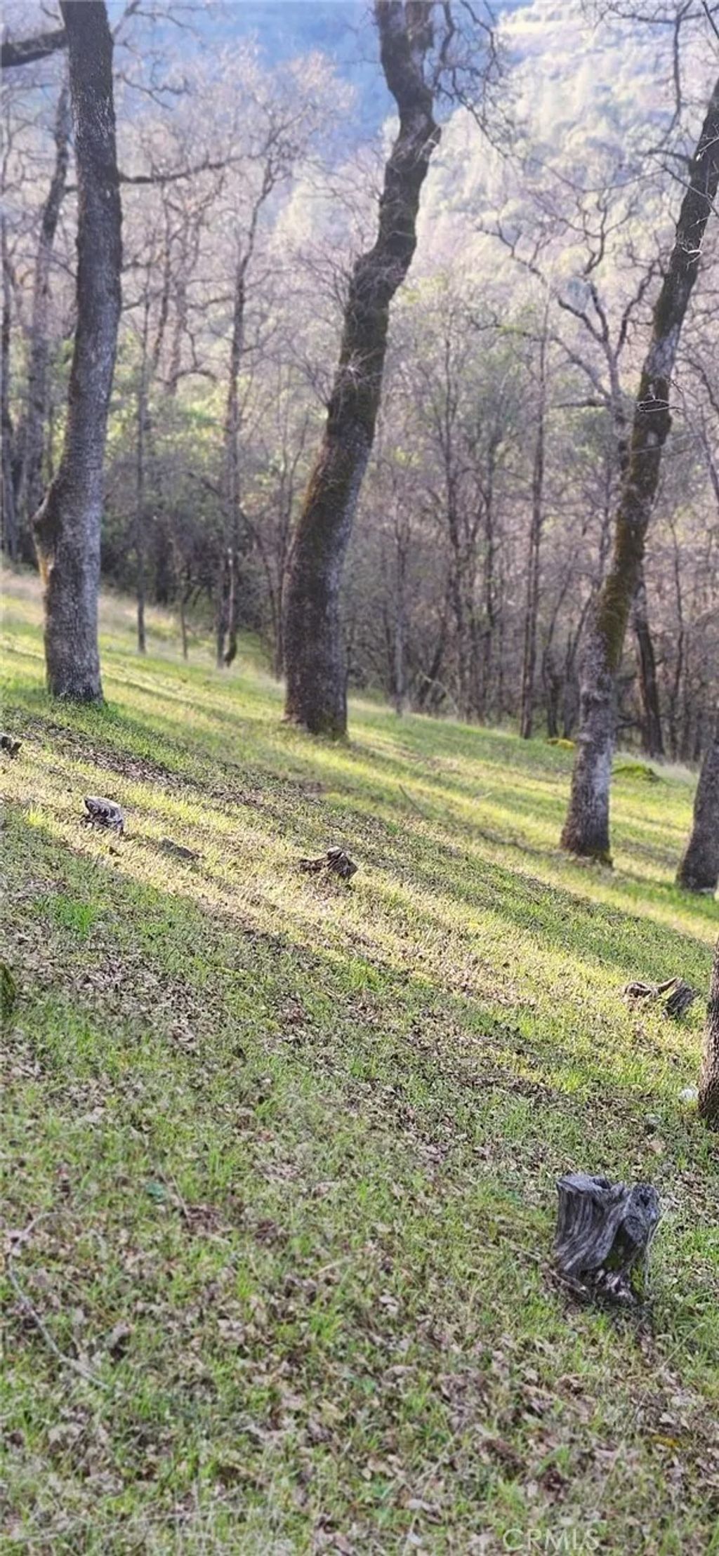 Photo of 13566 Helltown Parcel 2 Rd, Chico, CA 95928 (MLS # SN26052517)