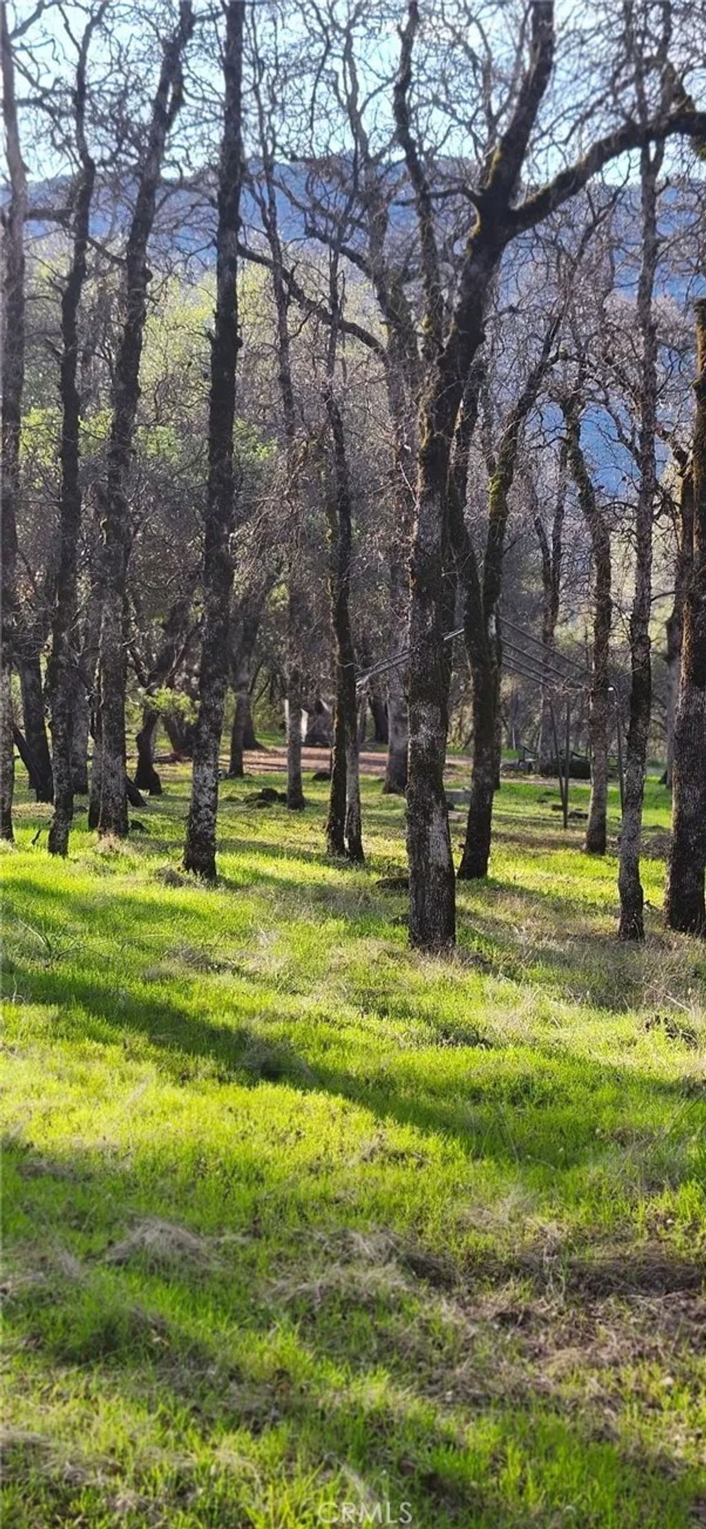 Photo of 13566 Helltown Parcel 2 Rd, Chico, CA 95928 (MLS # SN26052517)