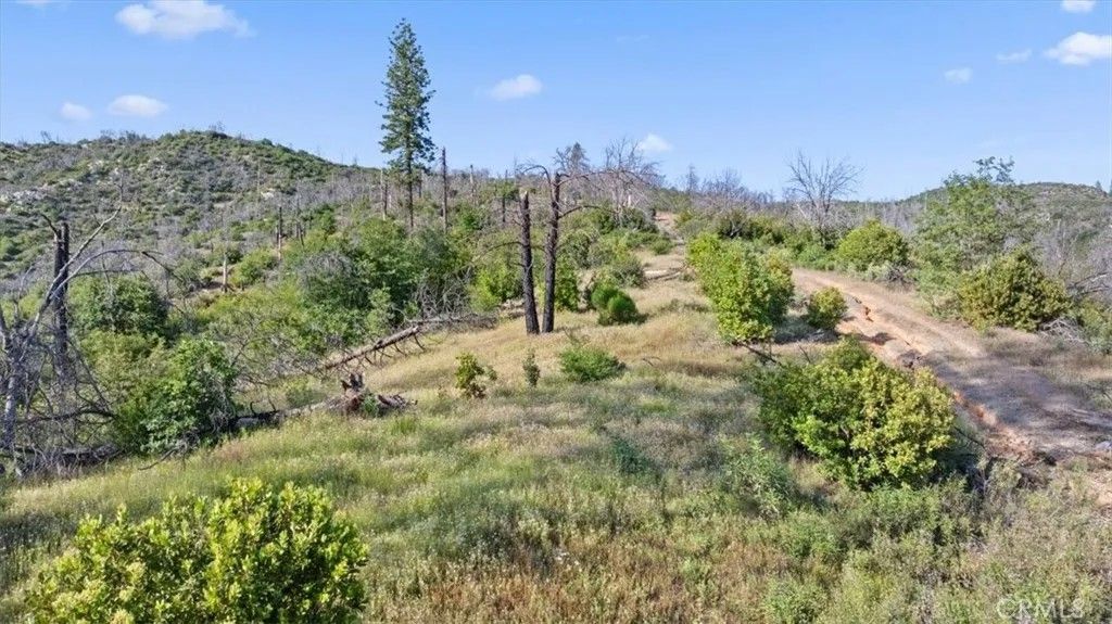 Photo of 0 Eckards, Berry Creek, CA 95916 (MLS # OR26103941)