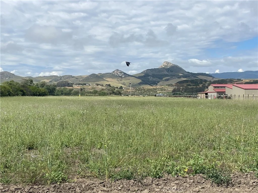 0 Latigo