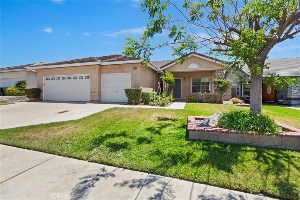 15355 Darlene