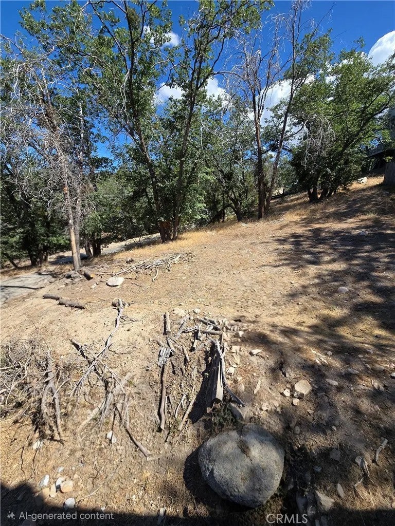 33460 Lakeview