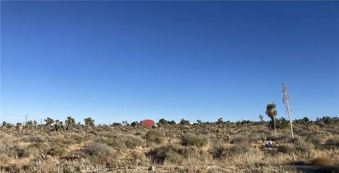 3 Lebec Phelan CA 92371