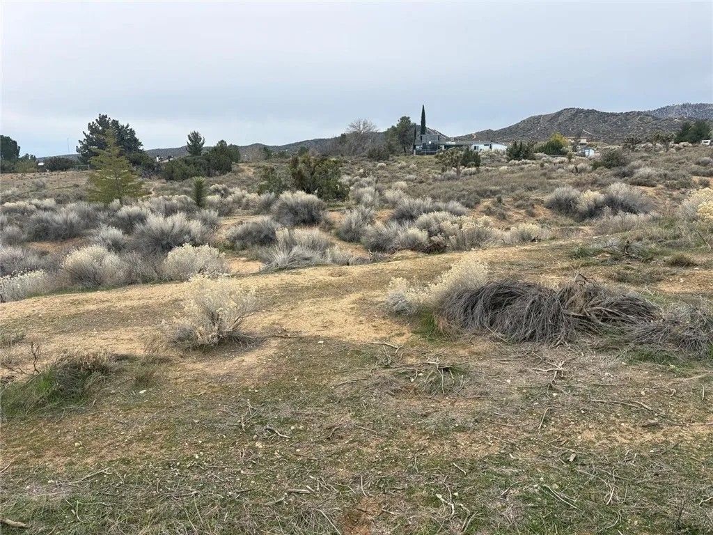 Photo of 0 Gobi Rd, Phelan, CA 92371 (MLS # SR26010575)