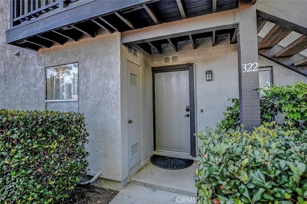 322 Orange Blossom